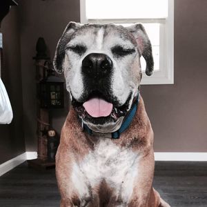 Meet your Posher, Nick